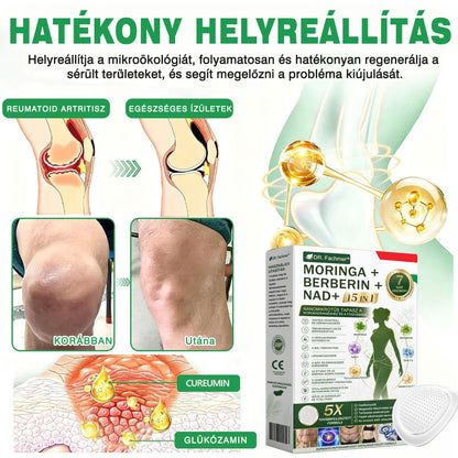 💡 DR.Fachmer® Moringa + Berberin + NAD+ 15 az 1-ben nanomikrotűs tapasz | A testápolás új generációja fejlett nanoformulával 💡