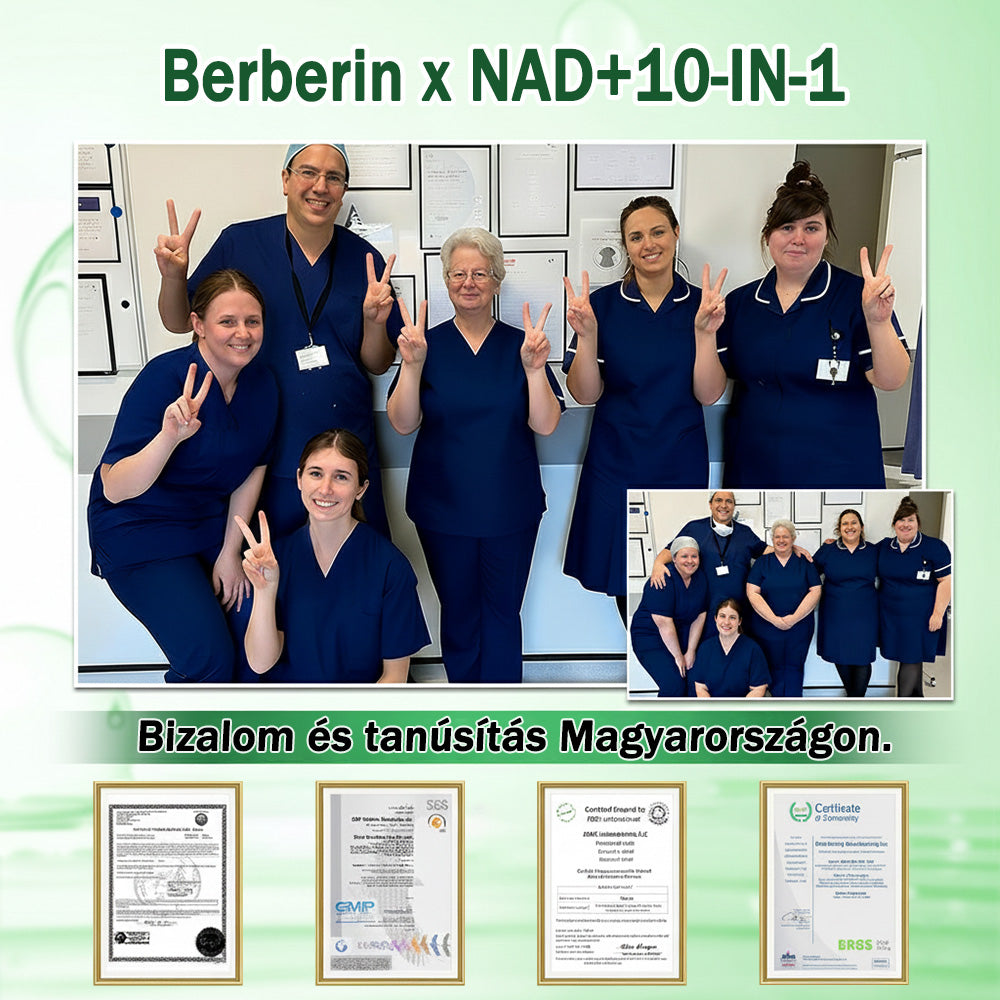 🥰Az Országos Népegészségügyi és Gyógyszerészeti Központ (NNGYK) által tanúsítva  | 🌿 GFOUK® Moringa · Berberine × NAD+ 10 az 1-ben fejlett nano mikrotűs tapasz👩‍⚕️ | 🌿Tudományos háttérrel | 10 az 1-ben formula | Eredmények 7 nap alatt 🥕)