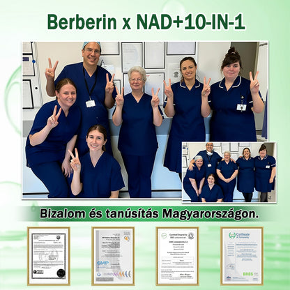 🥰Az Országos Népegészségügyi és Gyógyszerészeti Központ (NNGYK) által tanúsítva  | 🌿 GFOUK® Moringa · Berberine × NAD+ 10 az 1-ben fejlett nano mikrotűs tapasz👩‍⚕️ | 🌿Tudományos háttérrel | 10 az 1-ben formula | Eredmények 7 nap alatt 🥕)