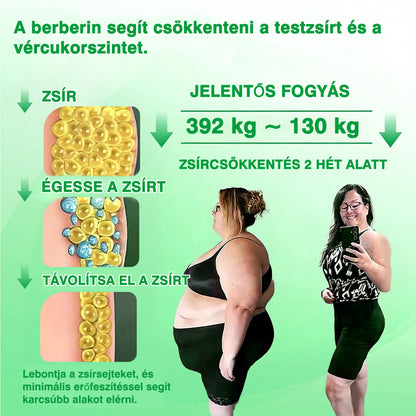 💡 DR.Fachmer® Moringa + Berberin + NAD+ 15 az 1-ben nanomikrotűs tapasz | A testápolás új generációja fejlett nanoformulával 💡