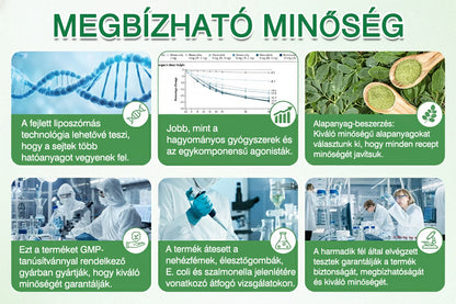 🥰Az Országos Népegészségügyi és Gyógyszerészeti Központ (NNGYK) által tanúsítva  | 🌿 GFOUK® Moringa · Berberine × NAD+ 10 az 1-ben fejlett nano mikrotűs tapasz👩‍⚕️ | 🌿Tudományos háttérrel | 10 az 1-ben formula | Eredmények 7 nap alatt 🥕)